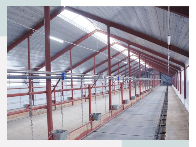 Строительство коровников в Тюмени от 612 руб.