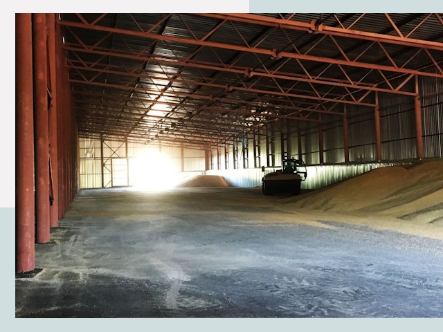 Строительство зернохранилищ в Тюмени